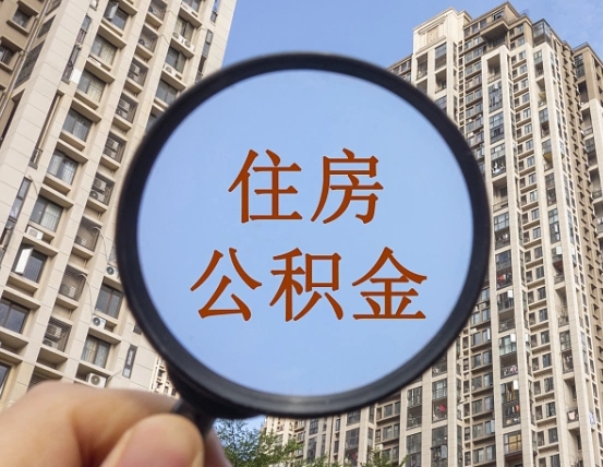 象山单位补缴公积金需要什么手续（单位补缴公积金需要什么资料）